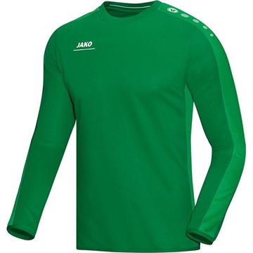 Afbeeldingen van JAKO Striker Sweater - Groen - Kinderen