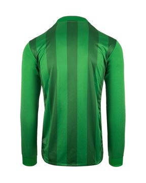 Afbeeldingen van Robey Winner Voetbalshirt - Groen (Lange Mouwen)